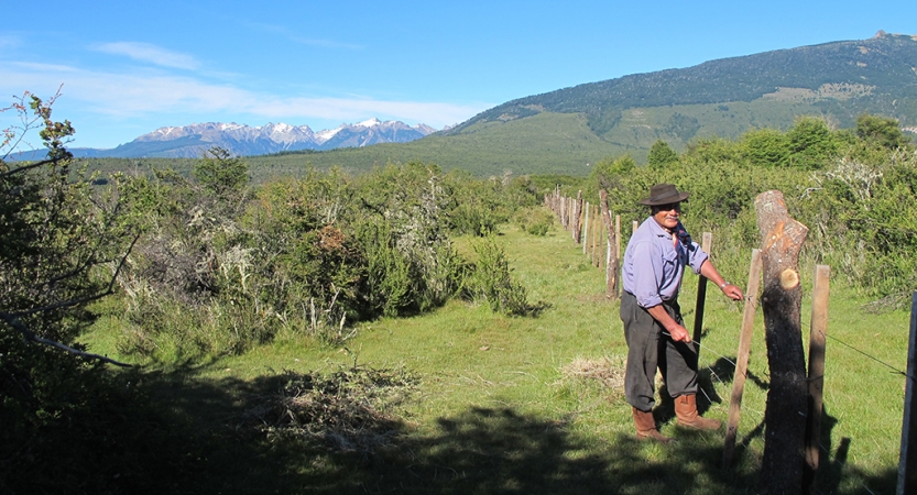 A person stands near a fence in a green area, surrounded by shrubs. In the background there are mountains. 